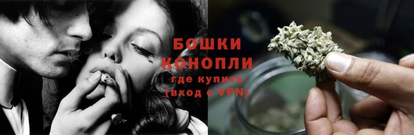 трава Аркадак