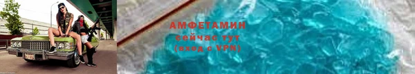 трава Аркадак